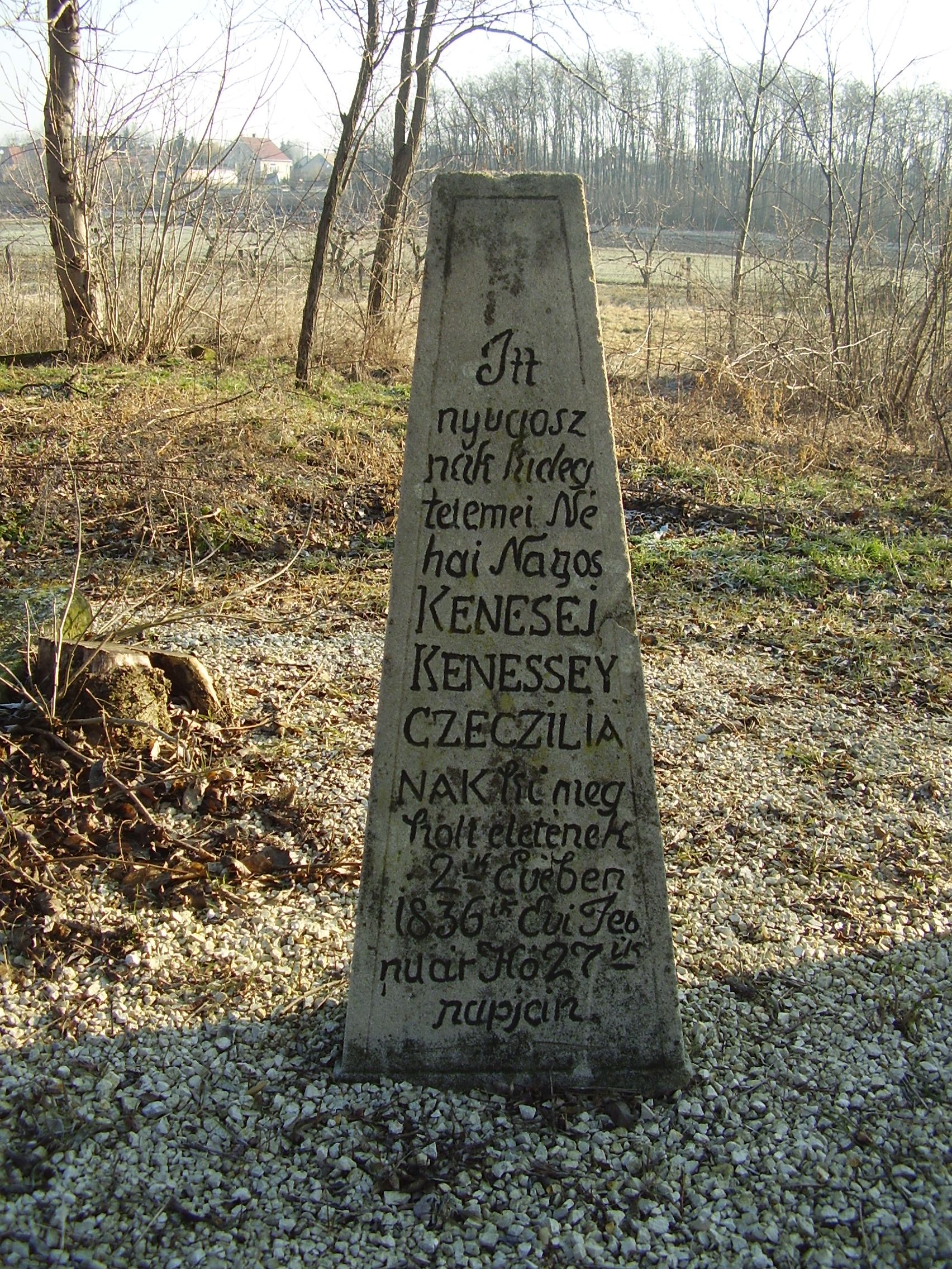 Kenessey Cecília síremléke