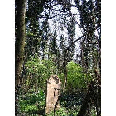Balassa-temető